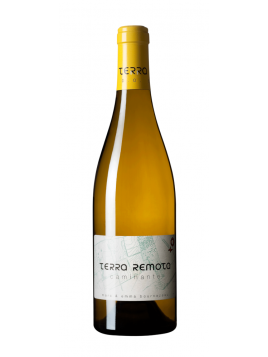 Terra Remota Caminante